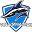 Vega Squadron
