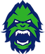 Vancouver Titans
