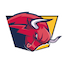 Red Bulls