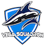 Vega Squadron