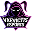 Vaevictis eSports